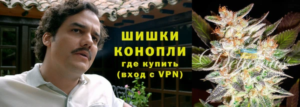 спайс Баксан